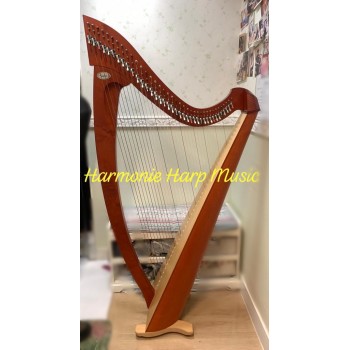 SOLD - 2nd Hand Salvi Titan 38 Strings Lever Harp